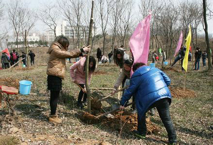 植樹節(jié)